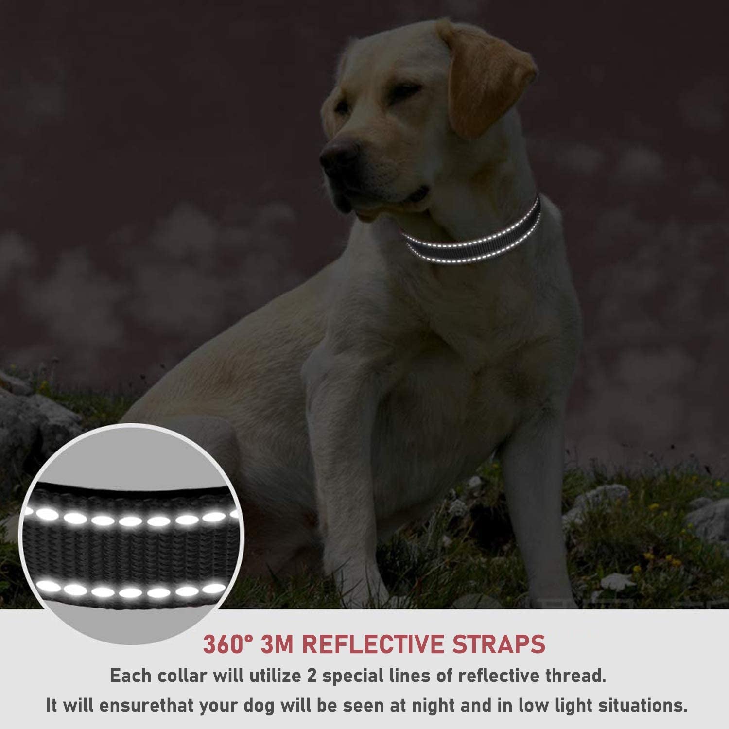 Reflective Dog Collar with Buckle Adjustable Safety Nylon Collars for Small Medium Large Dogs, Black M | Breathable, No Chafing on Walks and Outdoor Hikes, Metal D-Ring, Night Safety