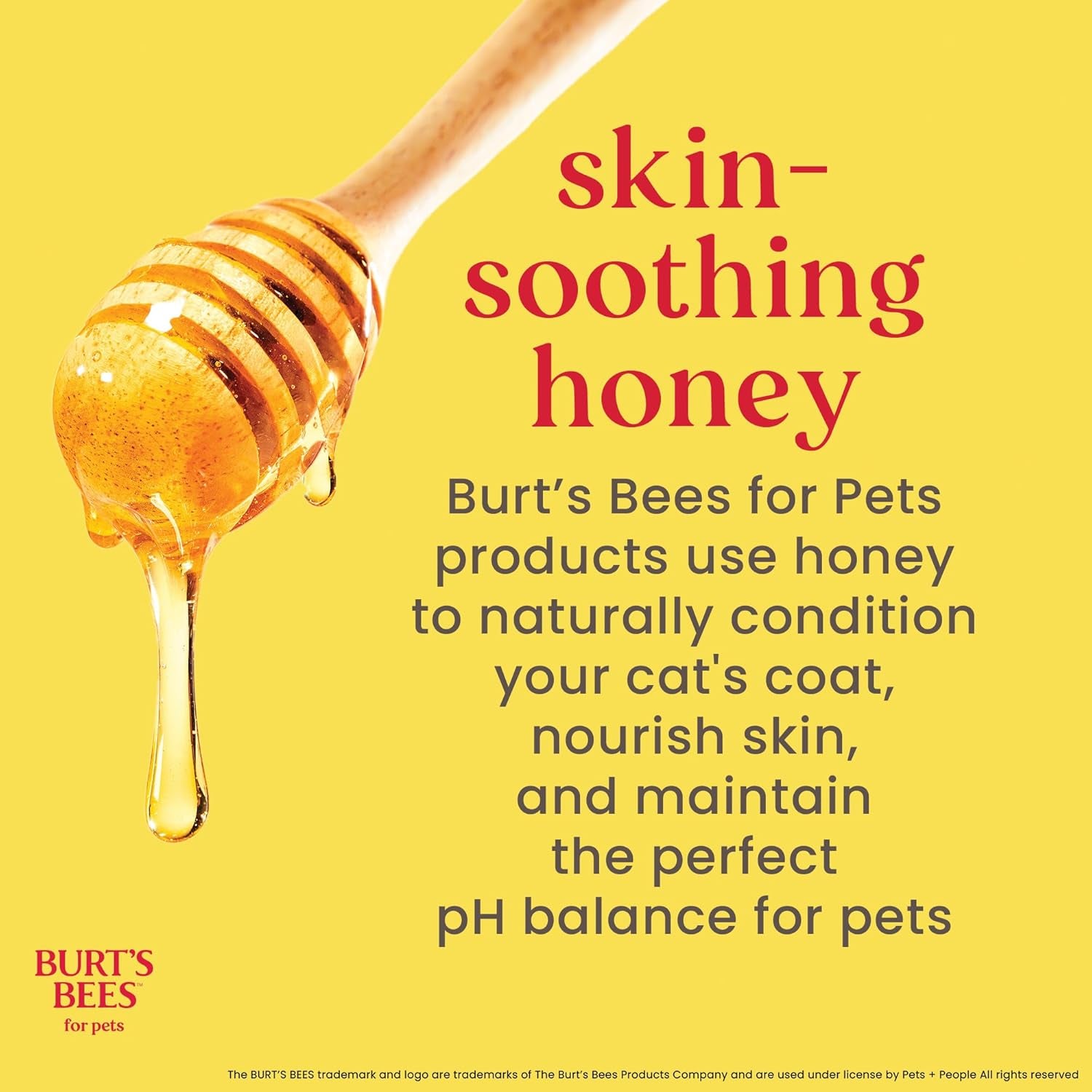 Burts Bees for Pets Tearless Kitten Shampoo with Buttermilk, 10 Fl Oz | 99% Natural Origin Formula for Sensitive, Itchy Skin; Ph-Balanced and Fragrance-Free for Kittens