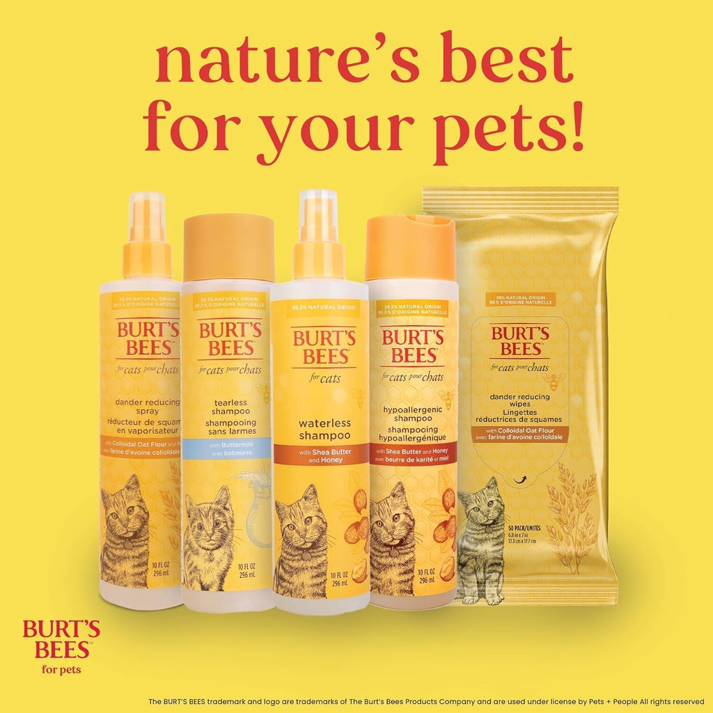 Burts Bees for Pets Tearless Kitten Shampoo with Buttermilk, 10 Fl Oz | 99% Natural Origin Formula for Sensitive, Itchy Skin; Ph-Balanced and Fragrance-Free for Kittens
