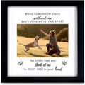 Pet Memorial Picture Frame, Sympathy Gift, Dog Cat Tribute,Black | Sympathy Loss Gift, Dog Cat Remembrance Keepsake Tribute