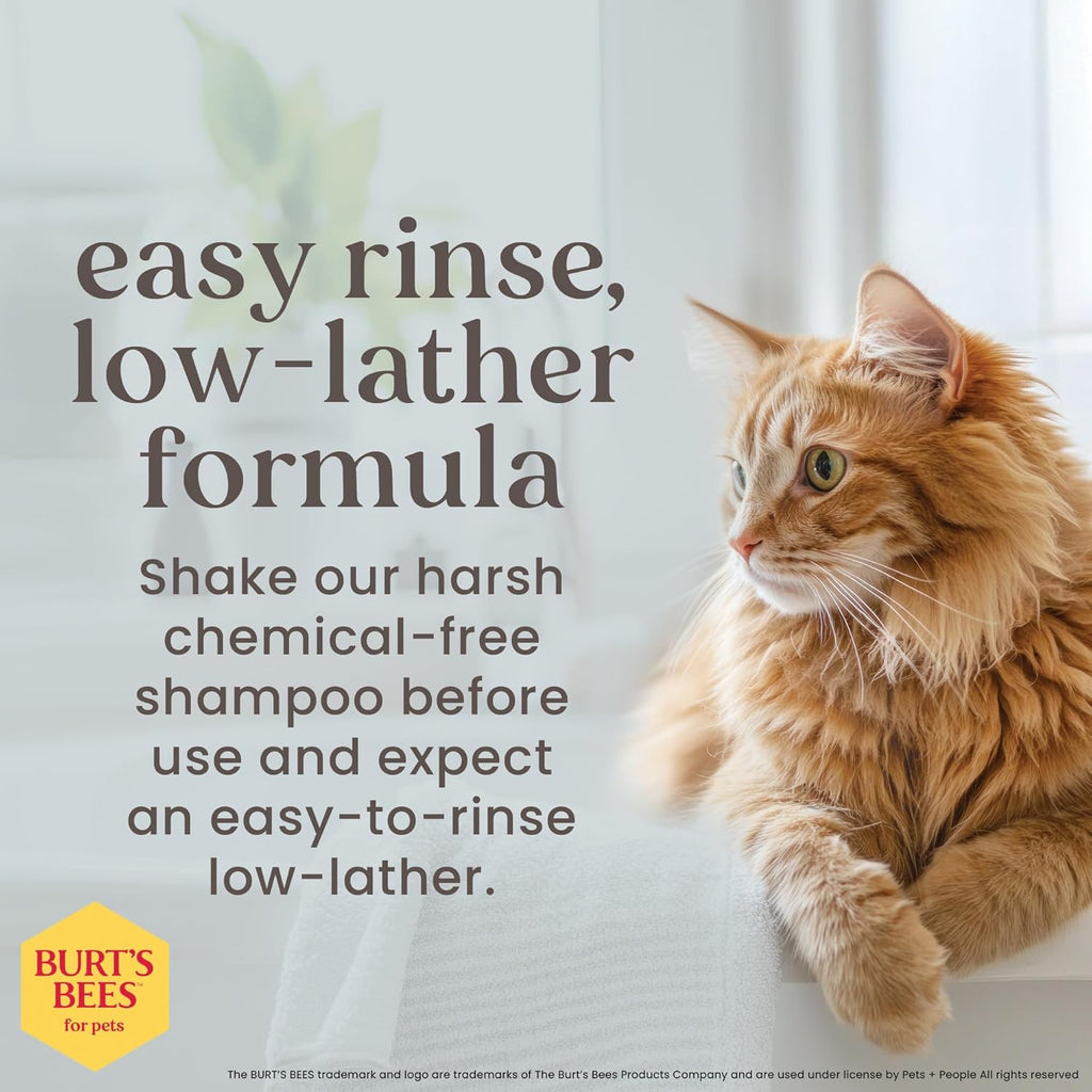 Burts Bees for Pets Tearless Kitten Shampoo with Buttermilk, 10 Fl Oz | 99% Natural Origin Formula for Sensitive, Itchy Skin; Ph-Balanced and Fragrance-Free for Kittens