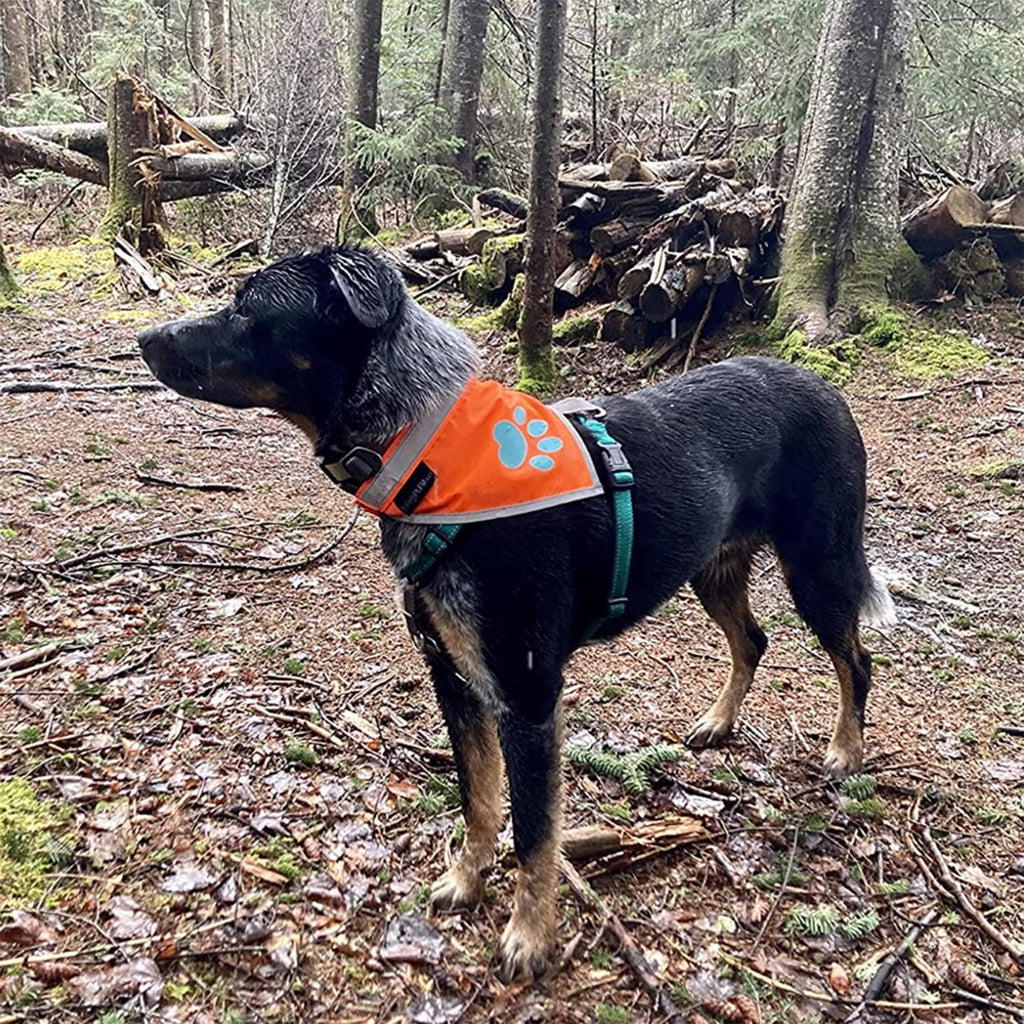 Reflective Dog Bandana Hi-Vis L Size 23 in Neck Orange